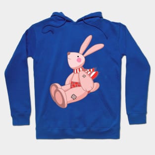 Plush pink hare Hoodie